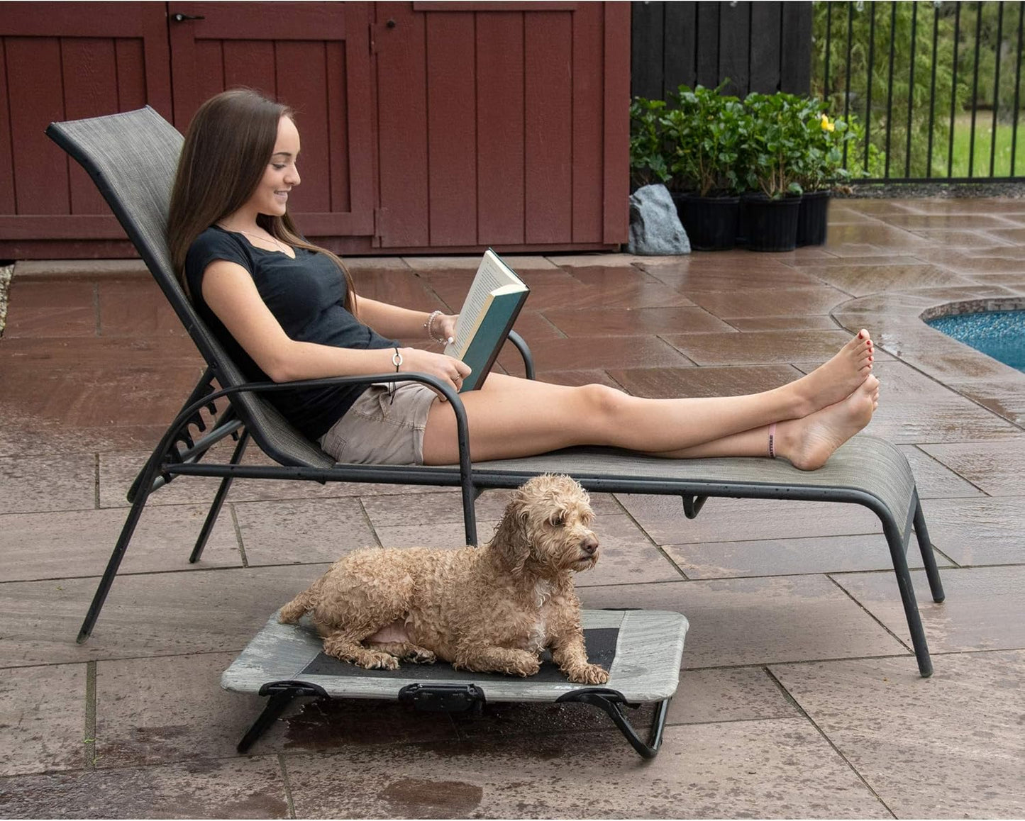 Lifestyle Pet Cot Elevated Bed, No Assembly Required, Premium Tear Resistant Cooling Mesh, Indoor & Outdoor, Lightweight & Portable, 3 Models, 2 Colors